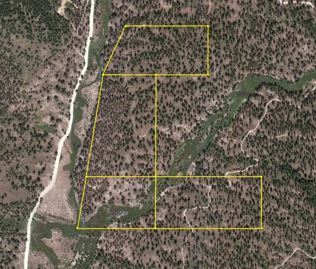 Ophy I-V placer mining claims in Boise County, Idaho